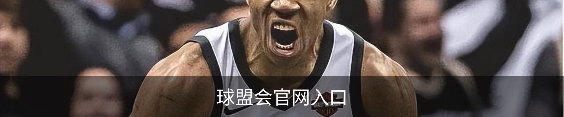 球盟会.QMH(中国)-官方网站